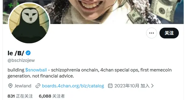 Snowball-Teaminformationen